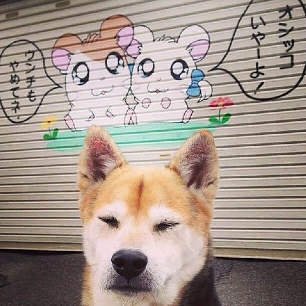 乐鱼体育(中国)官方网站-2024年国际乒联混合团体世界杯:埃及队的精彩表现与反击,2024世乒赛