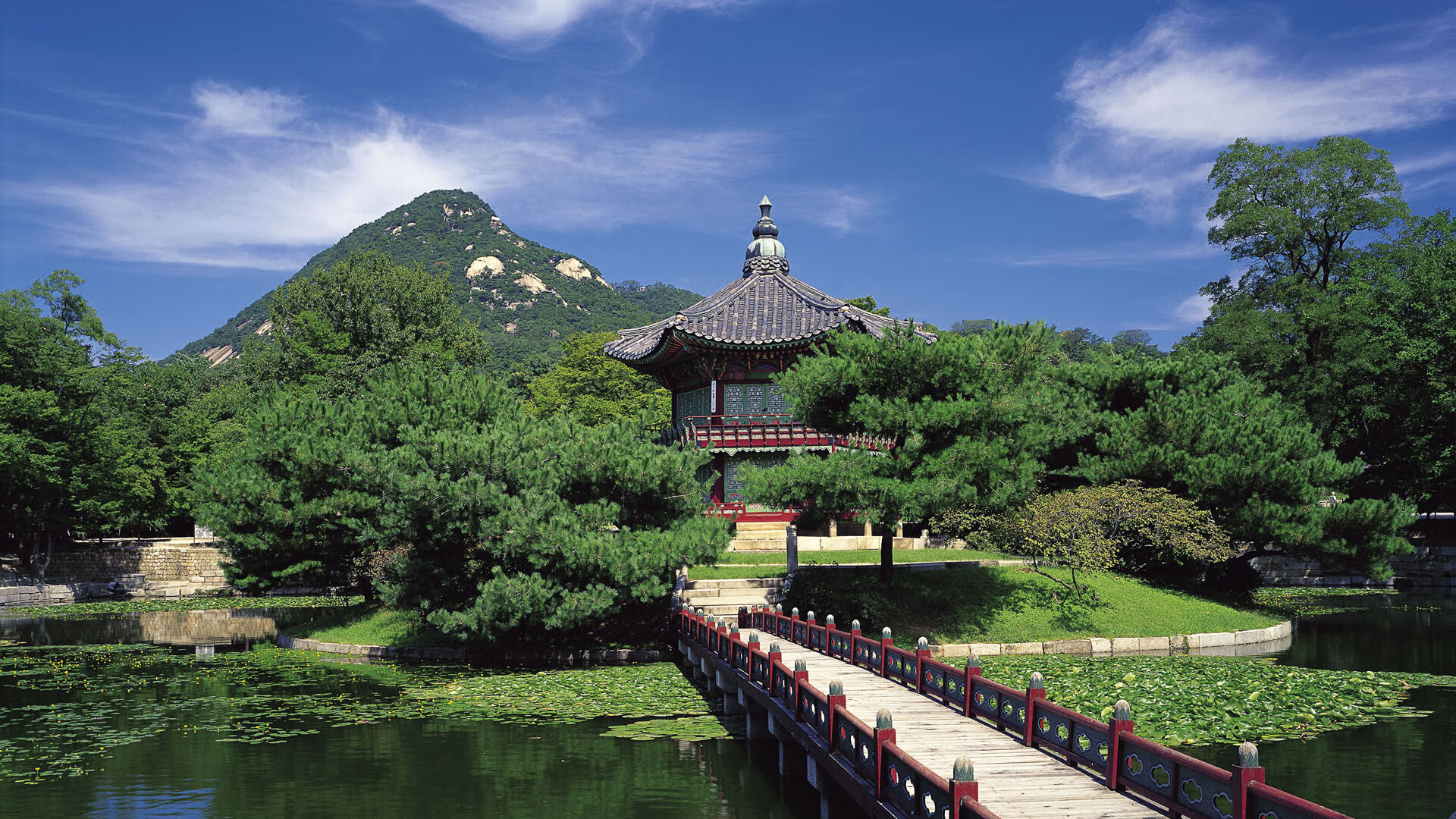 LEYU乐鱼体育官方网站-乒乓球赛事：全球顶级选手齐聚一堂，战况激烈，世界乒乓球大师赛