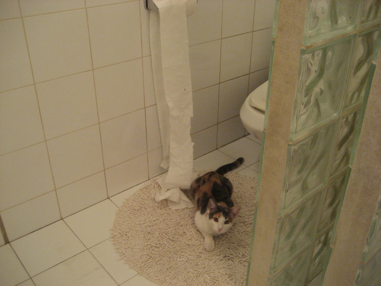 乐鱼(LEYU)体育-体育新闻中心推动体育视频内容自动生成技术,体育视频标题