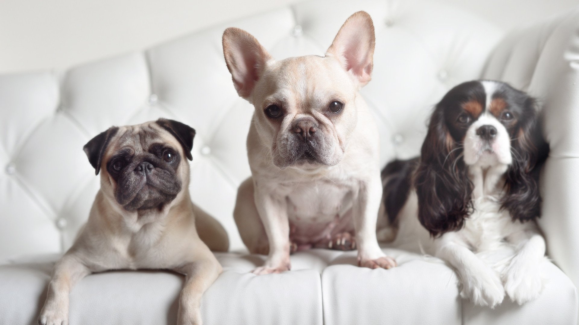 leyu乐鱼-奥预赛中国足球复仇 数据分析成焦点,国足奥运比赛