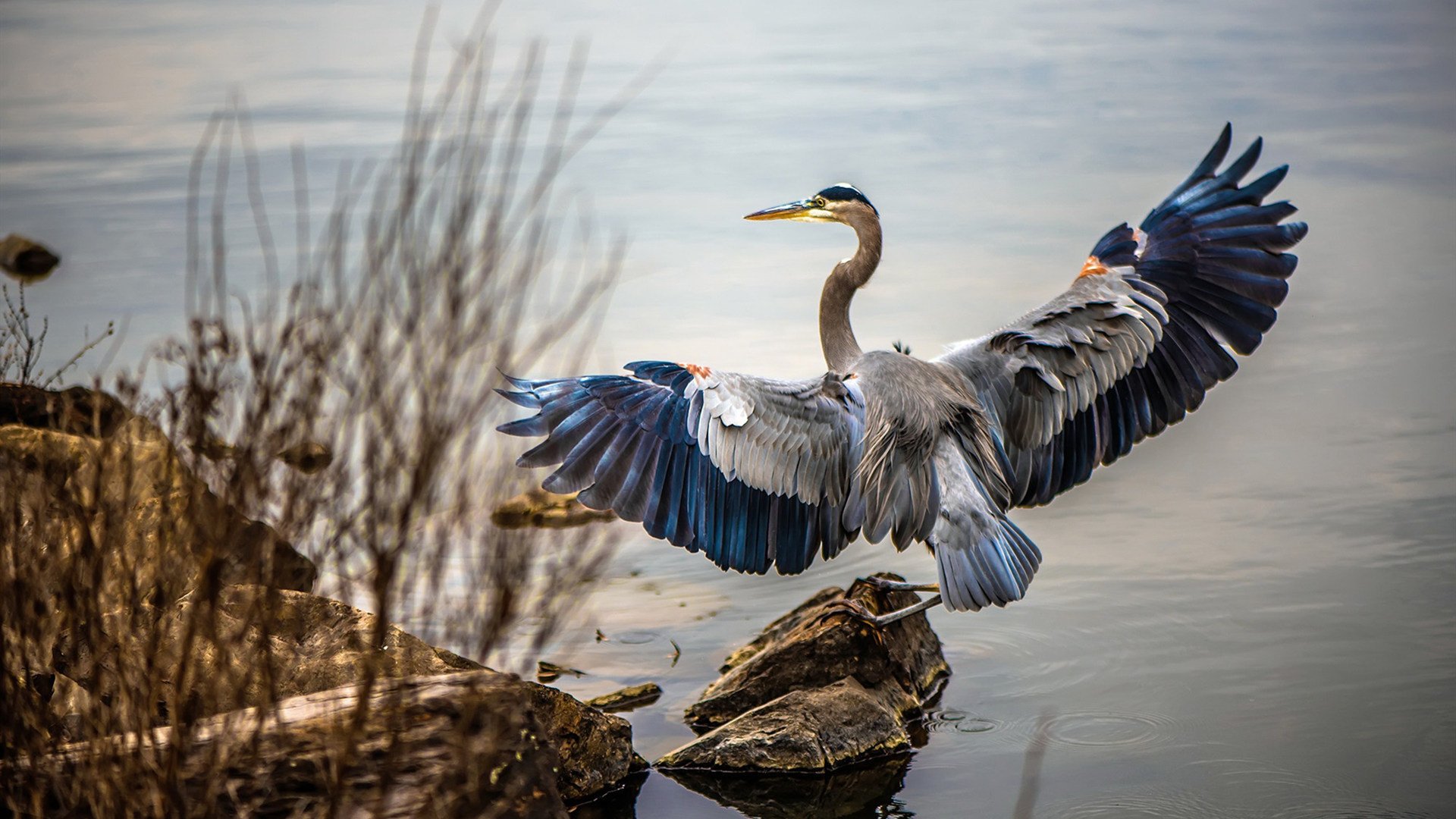 乐鱼电竞在线平台登录入口-换人频率与节奏控制之间的关系探讨