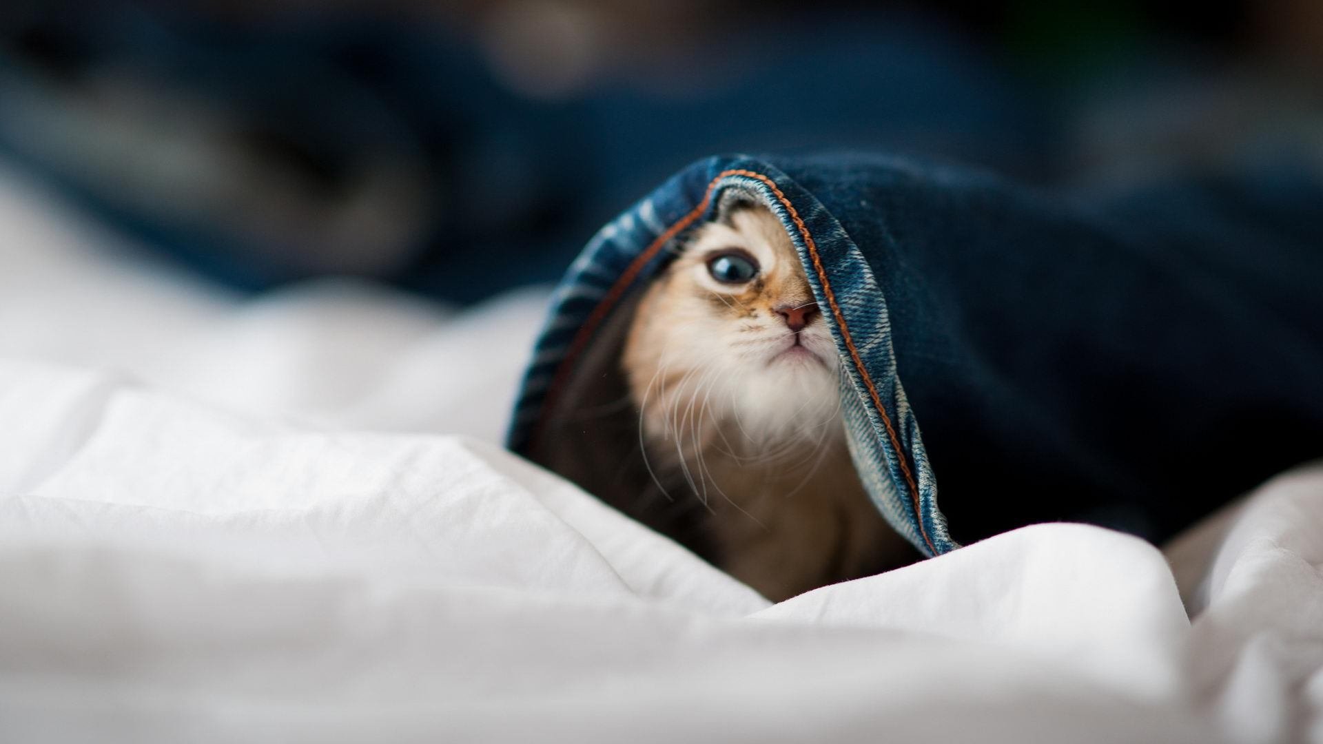 乐鱼体育-男队再添奖牌 实力持续提升，男单奖牌