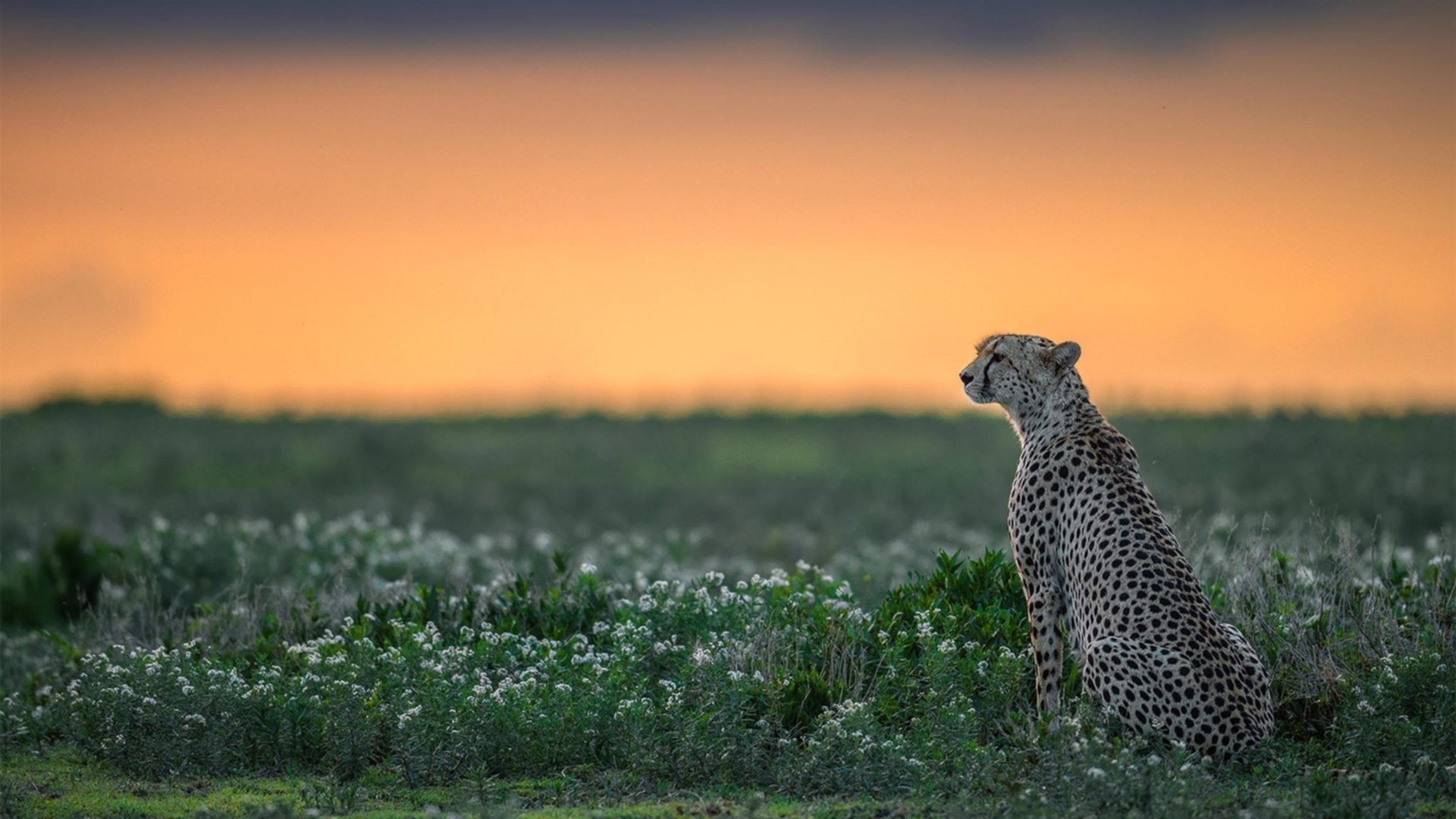 leyu.com-赛季中场重轮换战略是否减少大比分崩塌风险，中场换人算次数吗