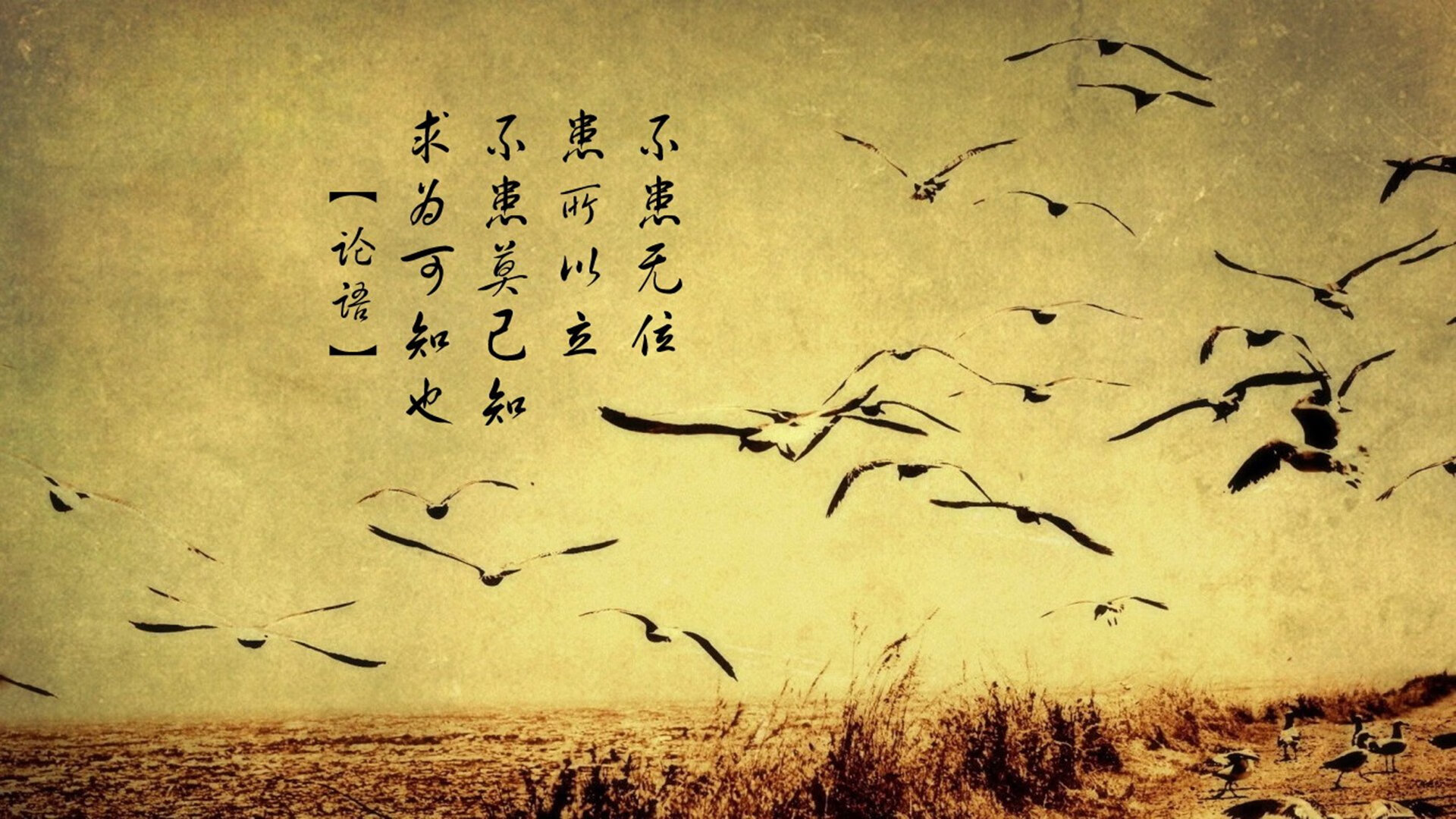 乐鱼体育App下载-“华金·托比利亚的全能防守与精准传球,成为阿根廷美洲狮队的核心力量”