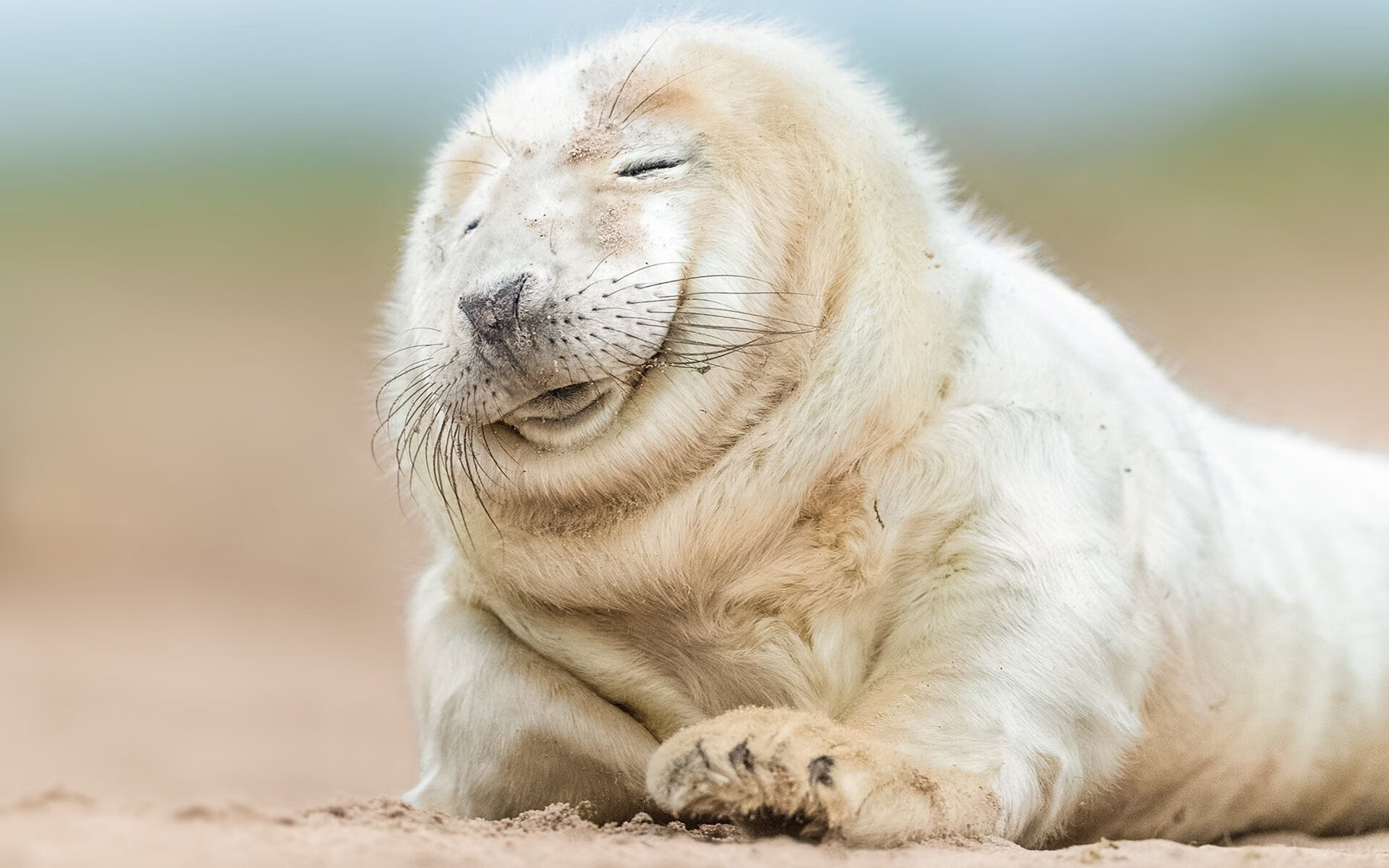 乐鱼体育(中国)官方网站-“尼古拉斯·桑特基:阿根廷美洲狮队的战术天才,未来值得关注”