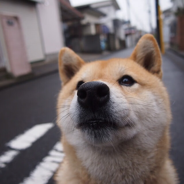 乐鱼(LEYU)体育-德甲火力全开:每一攻势都令人心跳加速,德甲实力