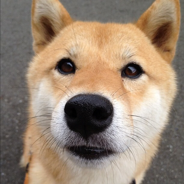 乐鱼电竞在线平台-欧洲杯大戏:战术与技艺的完美结合,欧洲杯战术机位