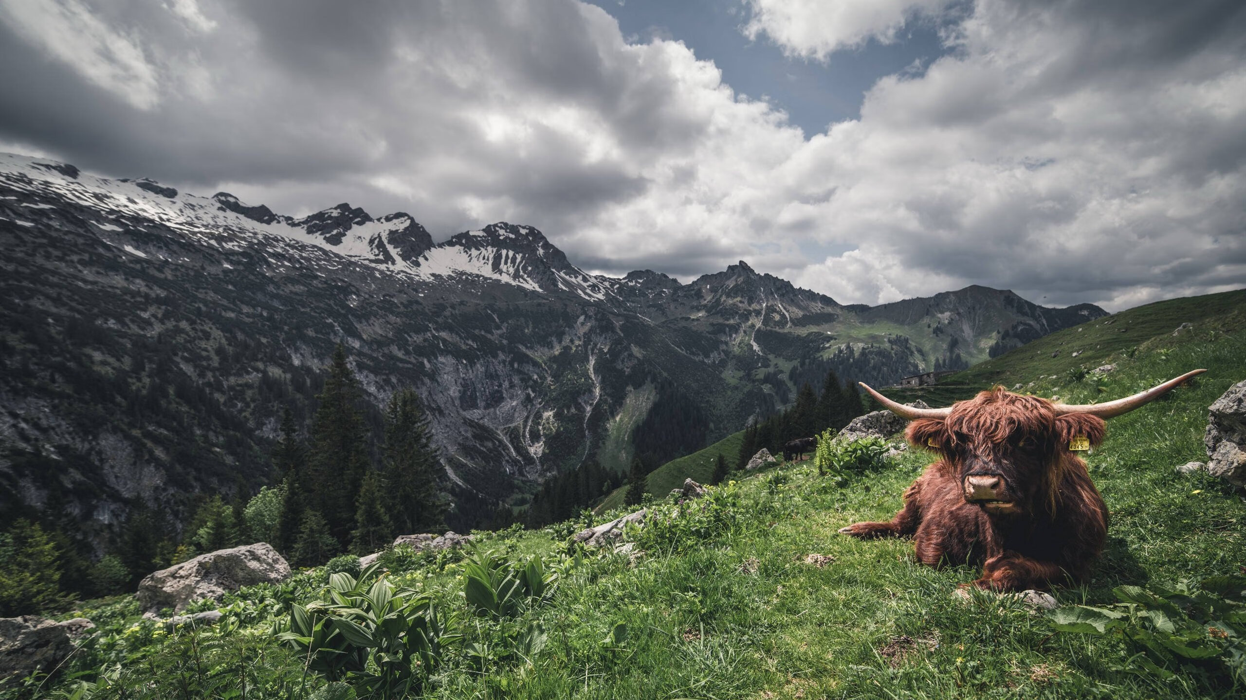 乐鱼体育登录-比赛过程跌宕起伏全队展现出不放弃的精神赢得全场掌声,比赛过程惊心动魄
