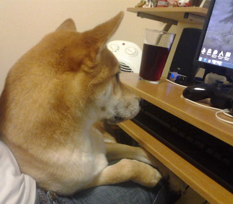 Leyu Sports (乐鱼体育)-田径赛道翻新工程确保赛事高质量进行,田径场改造